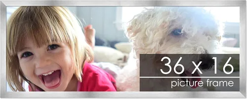 Vista 245 de Marco de madera de peltre plateado de 3 x 4 pulgadas, acrílico UV, respaldo de tablero de espuma y accesorios para colgar, marco de 3 x 4 pulgadas