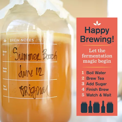 Vista 7 de Kombucha Kit principal para fermentar