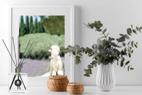 Vista 4 de Rainier’s Gifts Reed Diffuser Set (Boracay Sea Salt) - Scented Oil Diffuser Sticks - Home Fragrance Aromatherapy Air Freshener 6.5 fl oz