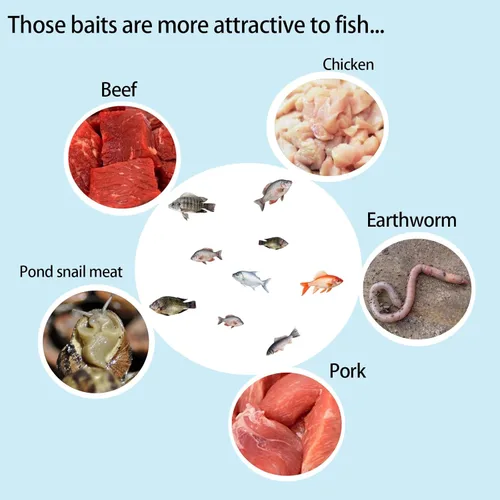 Vista 5 de Portable and Plastic Aquarium Minnow&Small Fish Trap for Aquarium Children Fishing Outdoors,Durable Container Bait Trap Suitable for