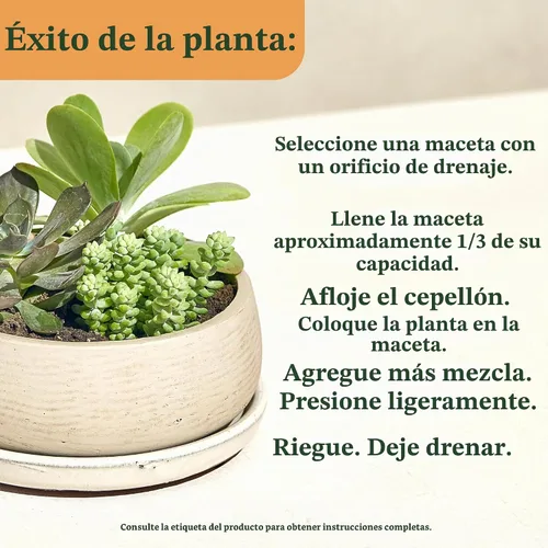 Vista 6 de Miracle-Gro Mezcla para macetas de interior para cactus y suculentas, 8
