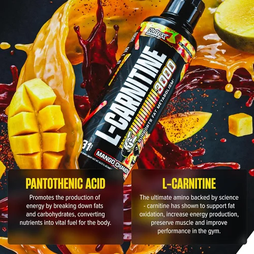 Vista 6 de Nutrex Research Carnitina líquida 3000 Carnitina líquida premium, sin estimulantes, soporte para pérdida de grasa, 16 onzas líquidas