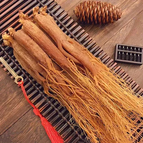 Vista 4 de Raíz de ginseng rojo, Ginseng rojo Corea, té de ginseng rojo coreano, raíz de ginseng rojo orgánico, raíz de ginseng rojo coreano, raíz de ginseng