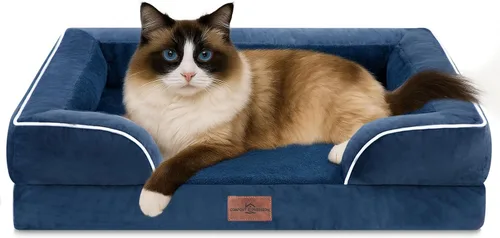 Vista 153 de Comfort Expression - Cama ortopédica para perros pequeños, 20 x 14 pulgadas, cama impermeable y de apoyo de espuma con cojines removibles, sofá