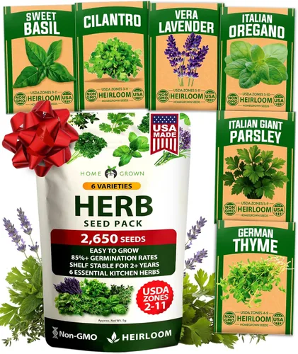 Vista 13 de Bóveda de 10 semillas de hierbas culinarias - Semillas criollas y sin transgénicos – Más de 3000 semillas para plantar en jardín de hierbas exterior