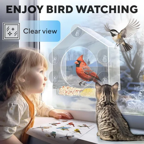Vista 2 de Premium Window Bird Feeder for Outside - Clear Bird House w/Largest Window for Viewing Birds - Easy to Install & Sturdy Feeder w/Extra Strong