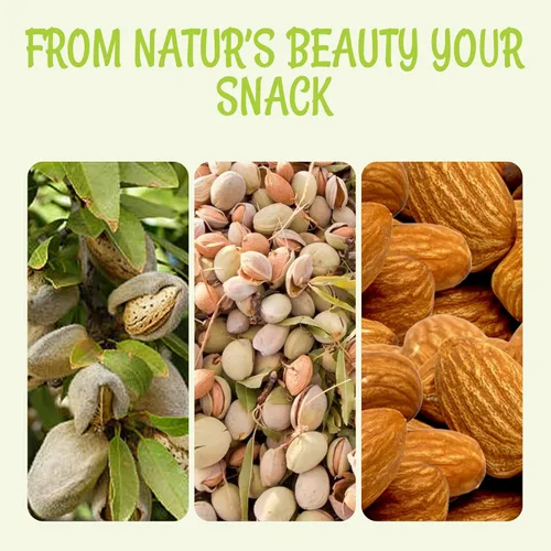 Vista 6 de Oh! Nuts Paquete a granel de almendras crudas, nueces de almendra a granel para aperitivos y hornear, almendras enteras totalmente naturales y altas