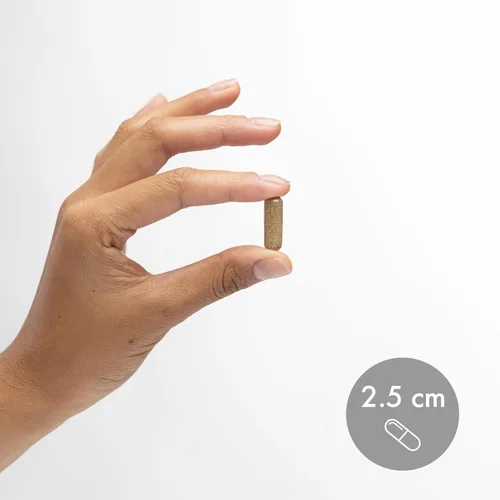 Vista 7 de Dr. Mercola Biothin Berberina con Cromo - Apoya la función metabólica saludable - Absorción mejorada - Sin OGM, sin gluten y sin soja - 30 cápsulas