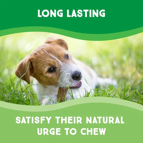 Vista 4 de Chips Bolsa de 1 libra - Masticables de cuero crudo para perros grandes de primera calidad - Ideal para masticadores agresivos golosinas de cuero