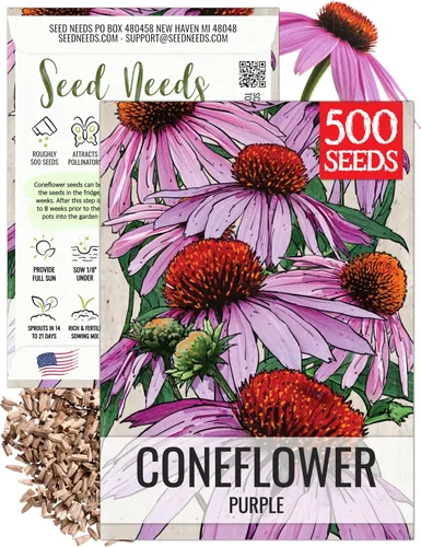 Seed Needs Semillas de equinácea para plantar equinácea morada - Flor medicinal perenne de polinización abierta y reliquia - Flores silvestres