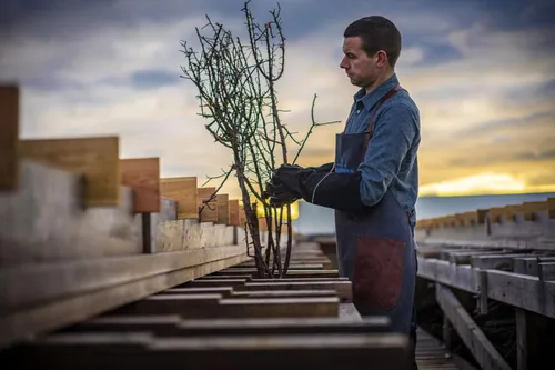 Vista 6 de Blackthorn Scottish Gourmet - Copos de sal marina natural y sin refinar, caja de 4.25 onzas (paquete de 1)