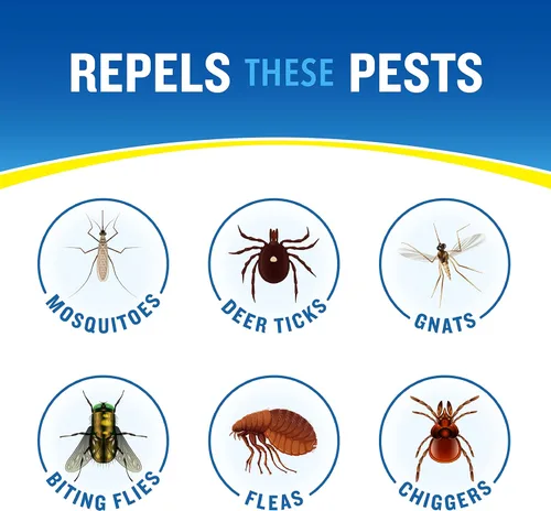Vista 3 de Cutter repelente de insectos sin aroma 10 por ciento DEET, 6 onzas de aerosol., paquete de 1, Transparente