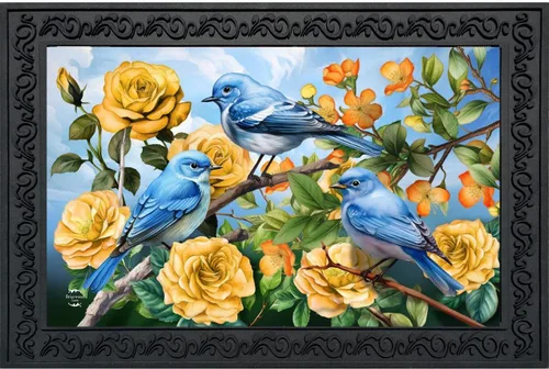 Vista 7 de Briarwood Lane Felpudo de pájaros y flores