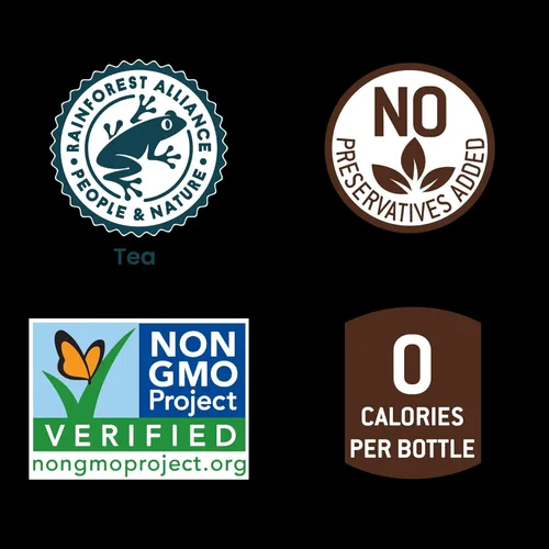 Vista 4 de Té Tejava Original