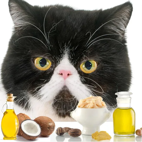 Vista 5 de The Blissful Cat - Mantequilla para la nariz, 0.15 onzas