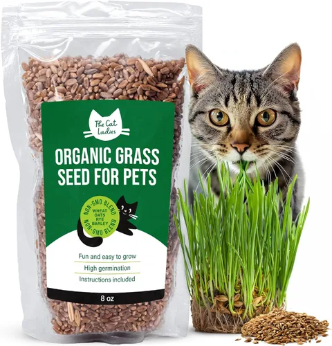 Semillas de césped para gato 100% orgánicas (Sin OMG)
