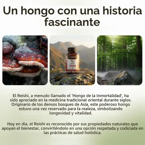 Vista 8 de Extracto de suplemento de cápsulas de hongos Reishi orgánicos Ganoderma