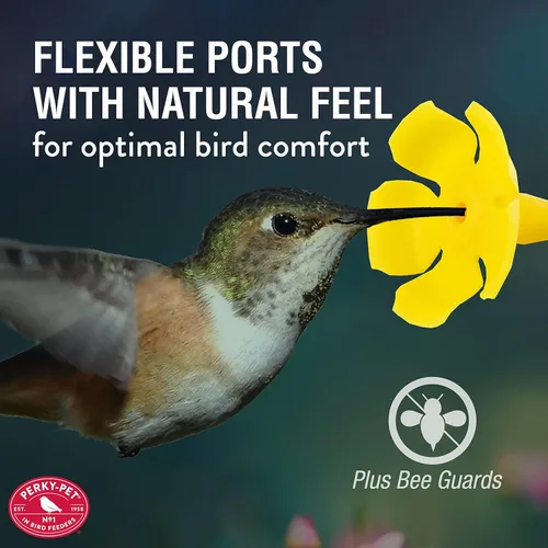 Vista 5 de Perky-Pet 9108-2 Desert Bloom - Comedero para colibríes de vidrio con relleno superior, color verde, capacidad de 32 onzas