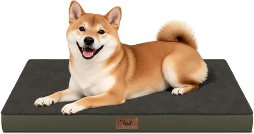 Vista 119 de Cama para perros y gatos pequeños, impermeable, para jaula de huevos, espuma ortopédica con funda Oxford lavable y extraíble, color verde Amy