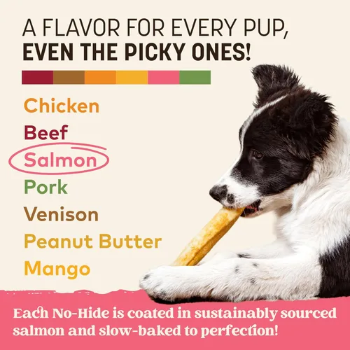 Vista 52 de Earth Animal Masticables sin ocultar – de The Grill Rolls Bacon Cheeseburger Sabor Rawhide Free Medium Dog Chews – 3