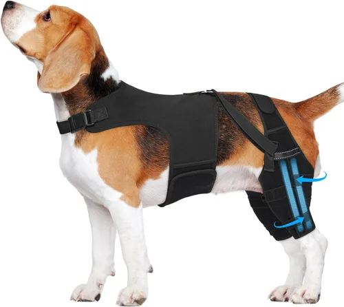 Vista 13 de Rodillera de perro para pierna trasera, soporte ajustable para piernas de perro con 4 estabilizadores, soporte de cadera para reducir el dolor