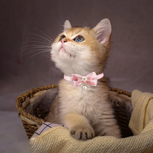 Vista 5 de Collar para mascotas, collar de gato con cuentas de lazo de encaje rosa, collar de campana para mascotas, collar de gato ajustable suave con flores