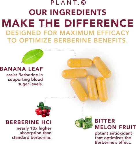 Vista 4 de Suplemento de berberina - Complejo HCI de berberina de absorción 10 veces mayor con limón amargo y hoja de banaba - Colesterol y apoyo metabólico
