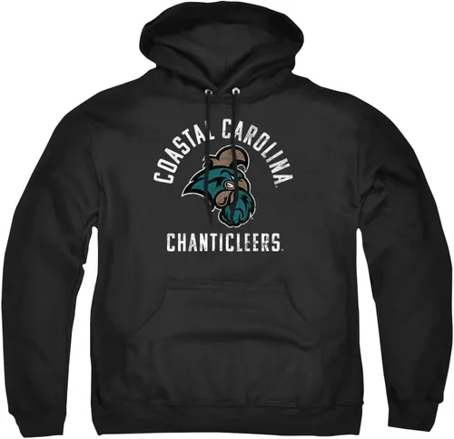 Vista 62 de LOGOVISION Colección oficial de sudaderas con capucha para adultos con logotipo desgastado grande universitario