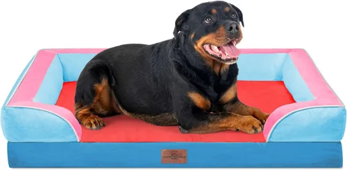 Vista 212 de Comfort Expression - Cama ortopédica para perros pequeños, 20 x 14 pulgadas, cama impermeable y de apoyo de espuma con cojines removibles, sofá