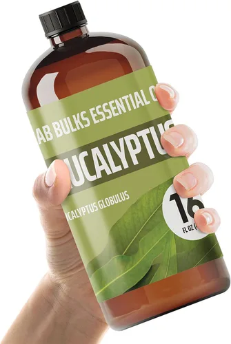 Aceite esencial Lab Bulks Eucalipto 16 oz (473 ml) para difusores, cuidado del hogar, velas, aromaterapia, fabricación de velas