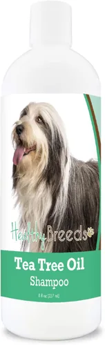 Vista 118 de Healthy Breeds Chow Chow Champú de aceite de árbol de té, formulado para pieles secas e irritadas, reduce la caspa, aroma de gaulteria, 8 onzas