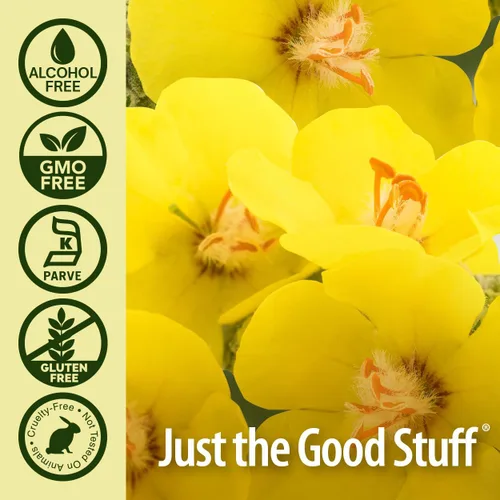 Vista 5 de Nature's Answer Hoja de gordolobo Suplemento de hierbas Apoya la función respiratoria saludable y membranas mucosas saludables, sin OMG