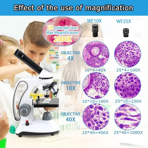 Vista 3 de Microscopios 40X-2000X para niños, estudiantes, adultos, con diapositivas preparadas para microscopios 30p, accesorios para microscopio, adaptador