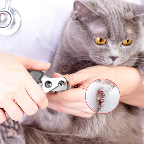 Vista 5 de Tpotato Cortaúñas para perro, cortaúñas para perro, de raza grande con sensor rápido, cortaúñas profesional para gatos Safari con protección