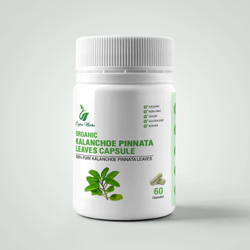 Kalanchoe Pinnata Hojas Extracto Cápsulas Hojas Puro Bien Limpiado Hoja Hoja de la Vida Milagro Hoja