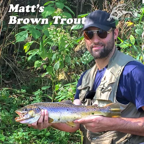 Vista 3 de Panther Martin PMHMH Holy Hammered Spinner Señuelo de pesca atrapa trucha, lucioperca, lucio del norte, almizcla, lubina de boca grande, perca y más