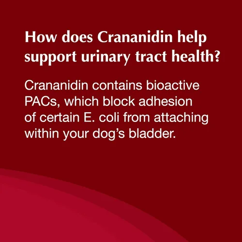 Vista 9 de Nutramax Laboratories Crananidin Extracto de Arándano Suplemento para la Salud del Tracto Urinario para Perros, 75 Tabletas masticables
