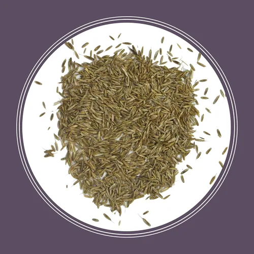 Vista 12 de Pennington Semilla anual de pasto de Ryegrass 10 lb