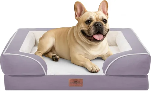 Vista 257 de Comfort Expression - Cama ortopédica para perros pequeños, 20 x 14 pulgadas, cama impermeable y de apoyo de espuma con cojines removibles, sofá