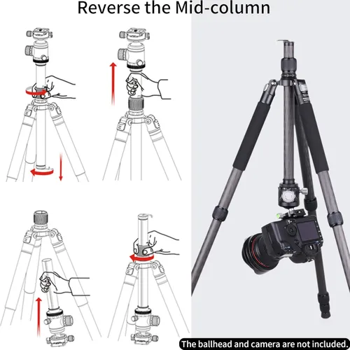Vista 5 de Trípode de Fibra de Carbono - INNOREL RT75C Sin Cabeza de Bola Trípode Super Profesional Monopié Resistente Trípode Compacto Soporte de Stand