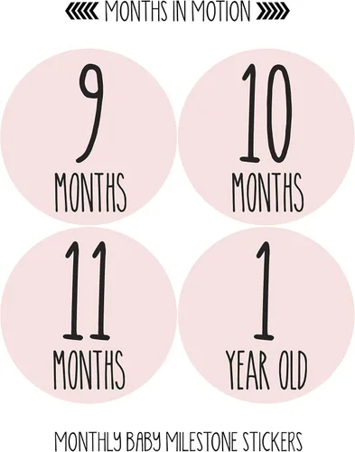 Vista 3 de Calcomanías mensuales para bebé niña, calcomanías de hitos para bebé, calcomanías para recién nacidos, calcomanías de mes para niña, calcomanías