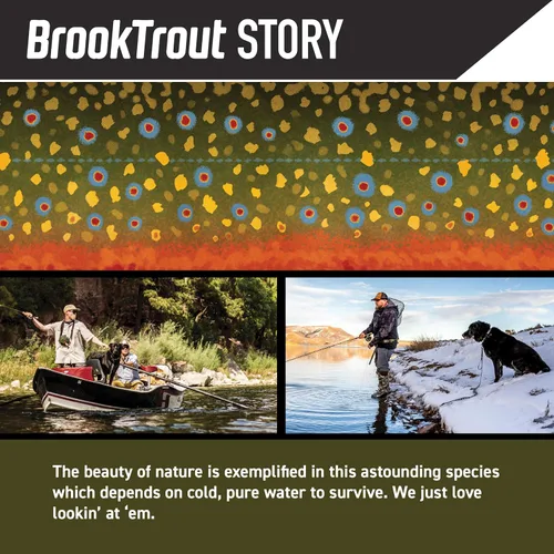 Vista 2 de Harley Davidson Stonewashed chaleco para perros – tamaño grande