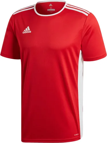 adidas Pantalón corto Hombre ENTRADA 18 JSY