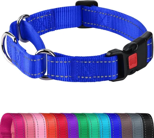 Vista 9 de Joytale Collar Martingale para perros, reflectante resistente para mayor seguridad, hebilla de liberación rápida, collares de nailon ajustables