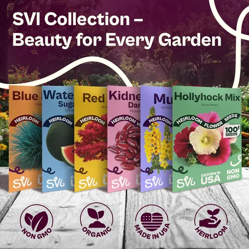 Vista 7 de SVI 550 Large Red Cherry Tomato Seeds (Solanum lycoperscium) – Cherry Tomatoes Seed Packets, Mini Tomatoes On The Vine – Heirloom Vegetable Seeds in