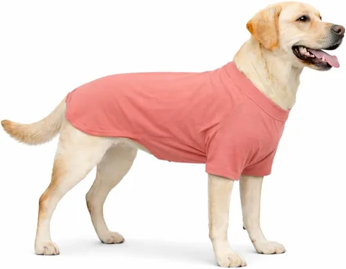 Vista 60 de Lovelonglong 2019 - Ropa para mascotas, Disfraces para Perro, Ropa Camisetas en blanco para Perros Grande Medianos Pequeños 100% Algodón 18