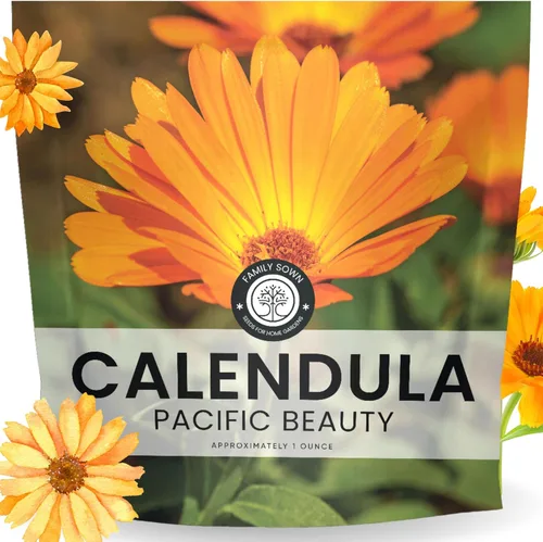 Calendula Pacific Beauty - Paquete grande de 1 onza - 3,000 semillas de flores para plantar - Calendula officinalis