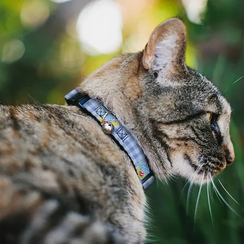 Vista 2 de Collar de gato de películas, collar separable con campana, logotipo del mago de Oz a cuadros azules, 8.5 a 12 pulgadas 0.5 pulgadas de ancho