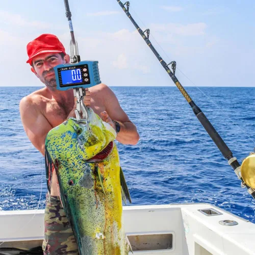 Vista 9 de Geevorks - Báscula de grúa digital de 2,204.6 lbs/2204 libras, escala de grúa industrial con retroiluminación LCD con cambio de unidad, retención