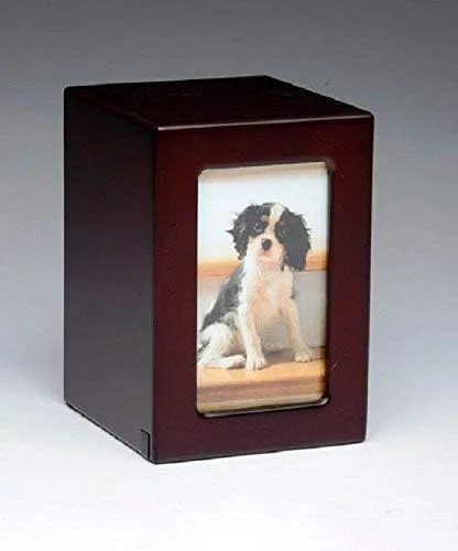 Urna para mascotas, urna conmemorativa para mascotas, caja de fotos, urna de cremación para mascotas, urna de perro, urna de gato, urna de animal